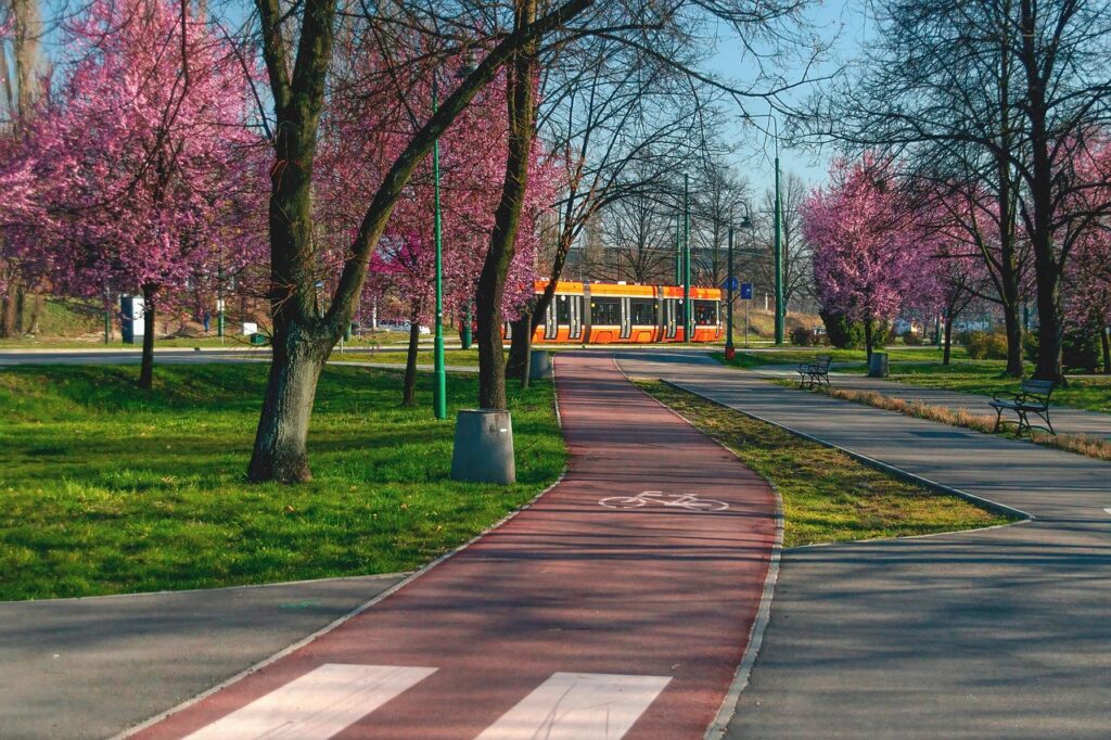 bike path, bicycle way, bikeway sign, cycleway, cyclepath, bicycle path, spring, poland, sosnowiec, sielec, nature, cycleway sign