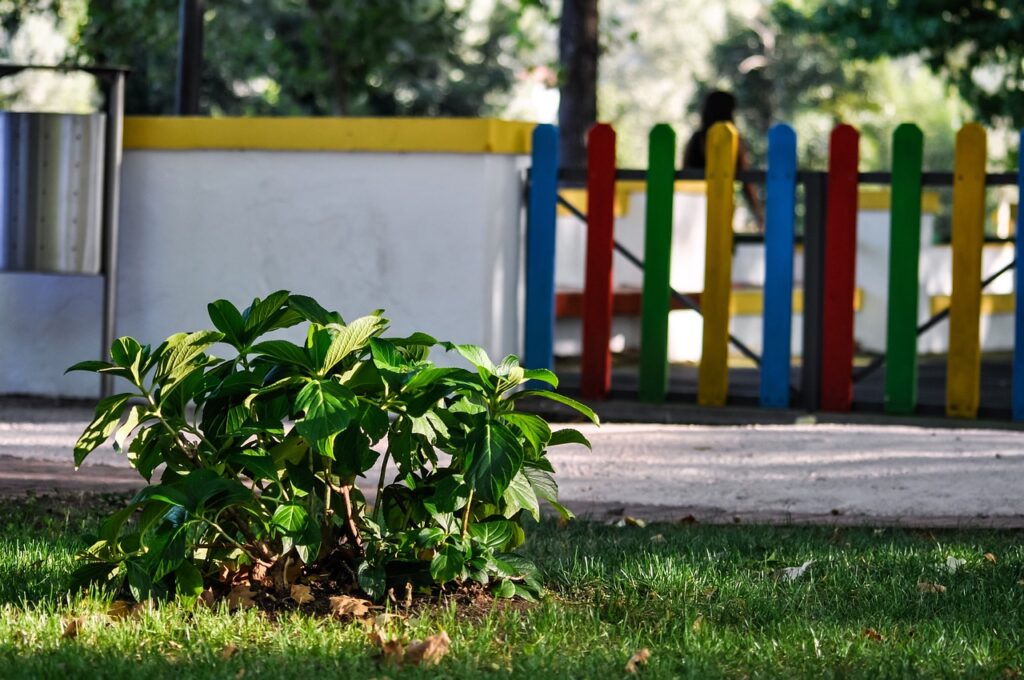 play area, playground, fence, colourful, bush, golden light, sunny, kids, fun, children, play, school yard, school yard fence, kindergarten fence, kindergarten play yard, outsider, nature, school yard, school yard, school yard, school yard, school yard